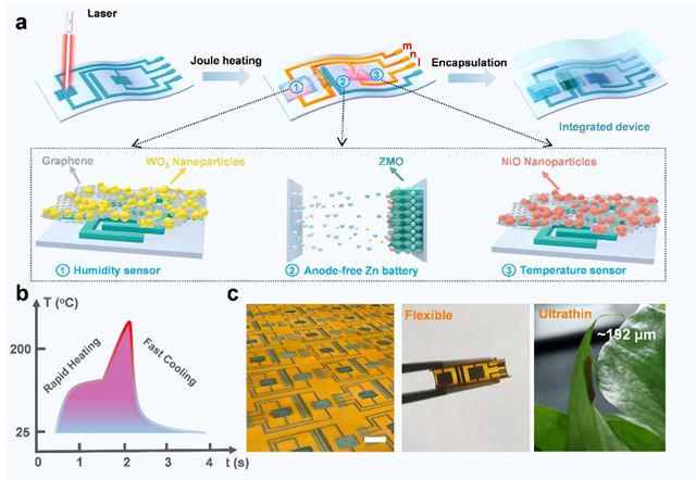 图1. 集成系统的制造过程示意图.png